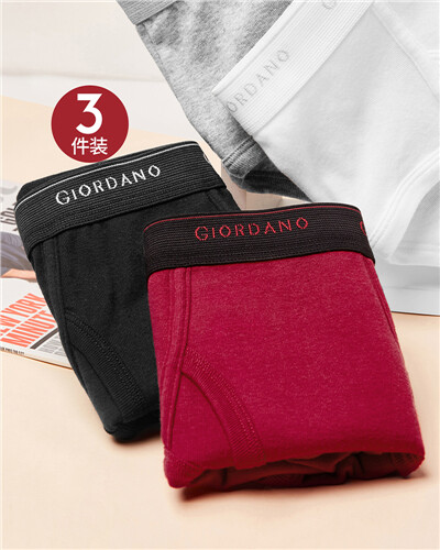 Giordano Men Underwear Basic Cotton Soft Male Underwear 3pcs Sous