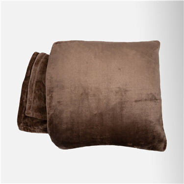 Fleece Pillow and Blanket (2 in 1)