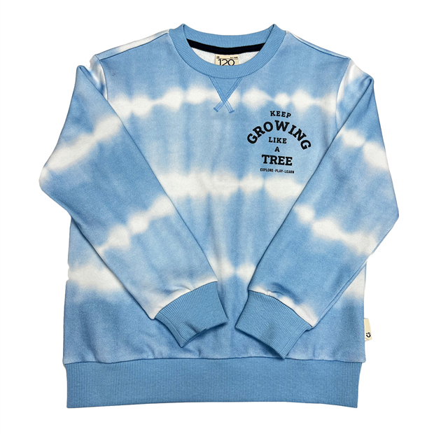 Junior\'s Cotton Sweatshirt | GIORDANO Online Store