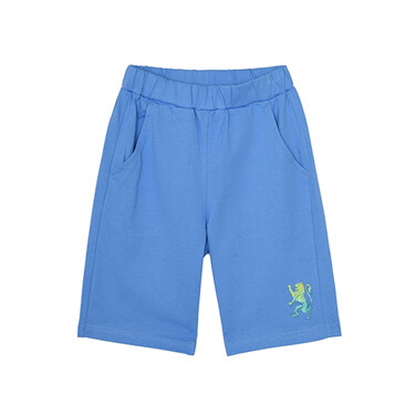 Junior 3D Lion Embroidery Shorts