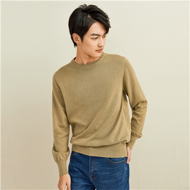 Solid color crewneck sweater