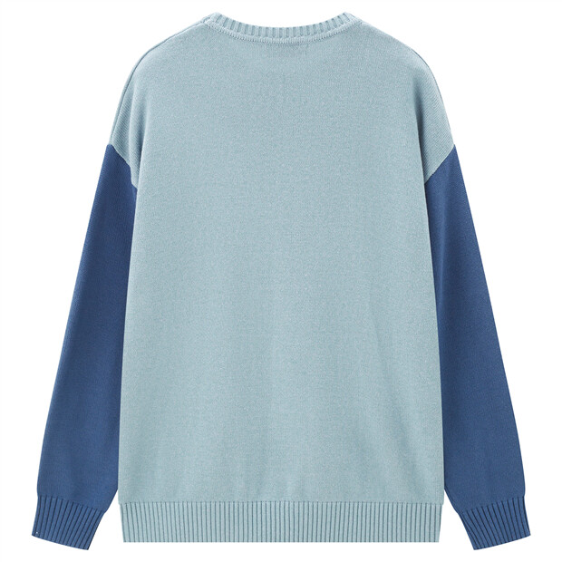 Men's Colorblock Crewneck Pullover Sweater | GIORDANO Online Store